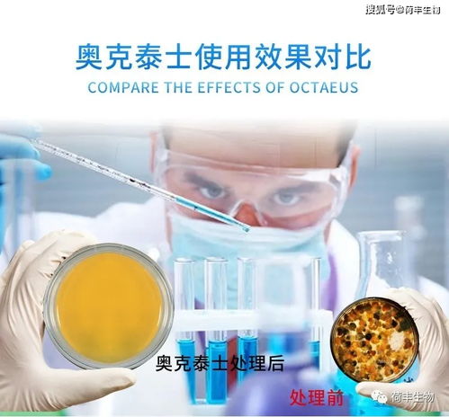 如何控制制药厂的霉菌