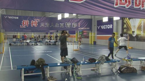 爱打羽毛球的你,崇明这里多了个羽毛球馆